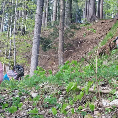 Fotka 8 z 16 k článku 3. deskoherní výjezd