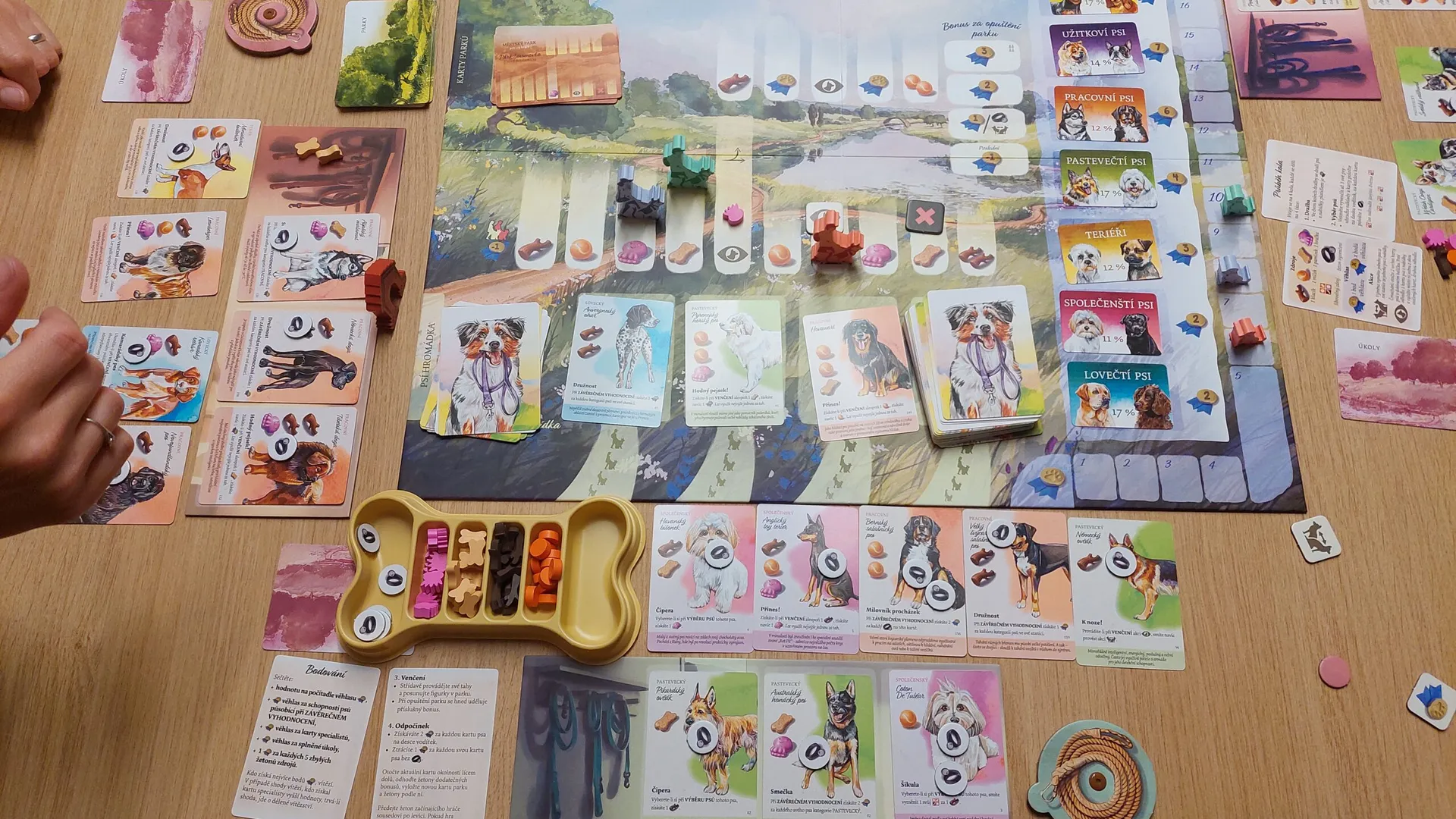 Rozložená hra Dog Park s kartami psů a dřevěnými figurkami